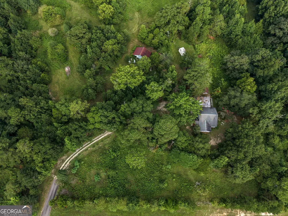 348 Americus HWY Butler, GA 31006