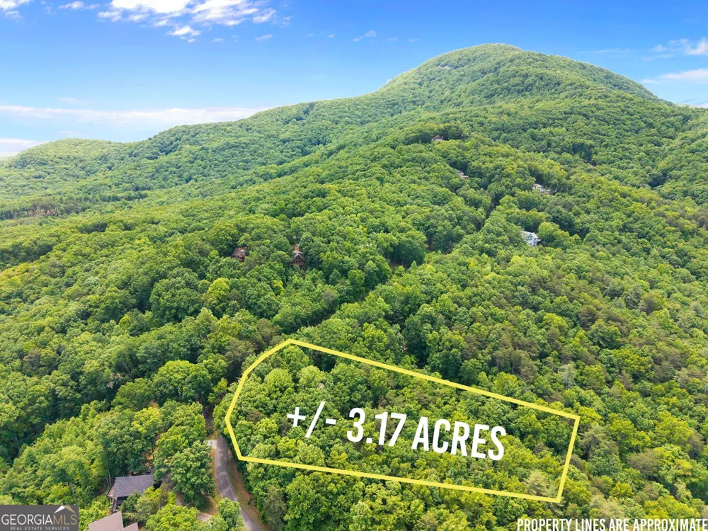 222 Matterhorn DR Sautee Nacoochee, GA 30571