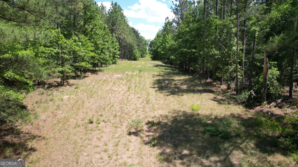 ROSE LOT Dublin Eastman RD Dexter, GA 31019