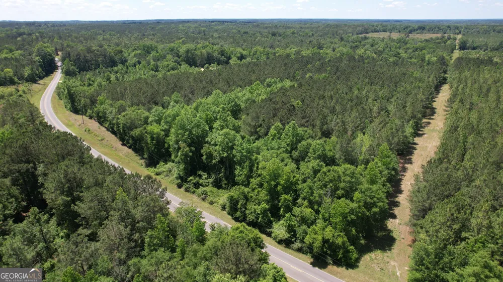 ROSE LOT Dublin Eastman RD Dexter, GA 31019