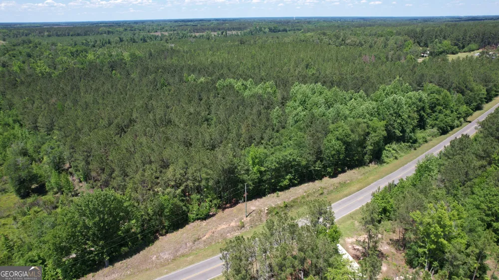 ROSE LOT Dublin Eastman RD Dexter, GA 31019