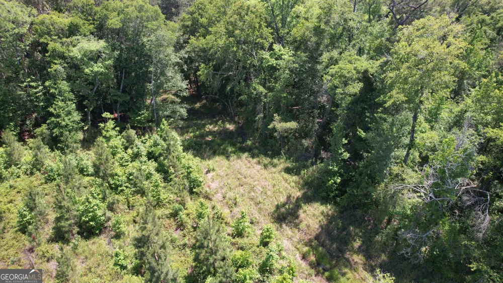 ROSE LOT Dublin Eastman RD Dexter, GA 31019