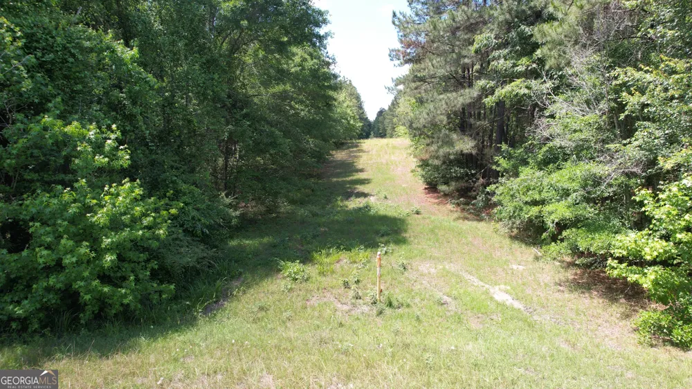 ROSE LOT Dublin Eastman RD Dexter, GA 31019