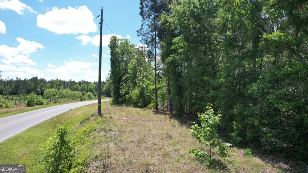 ROSE LOT Dublin Eastman RD Dexter, GA 31019