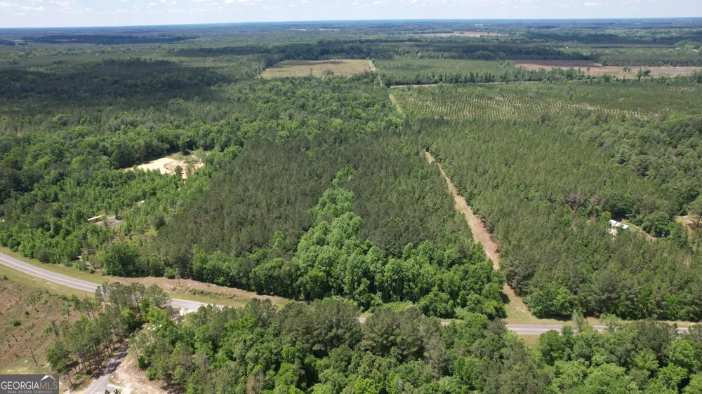ROSE LOT Dublin Eastman RD Dexter, GA 31019