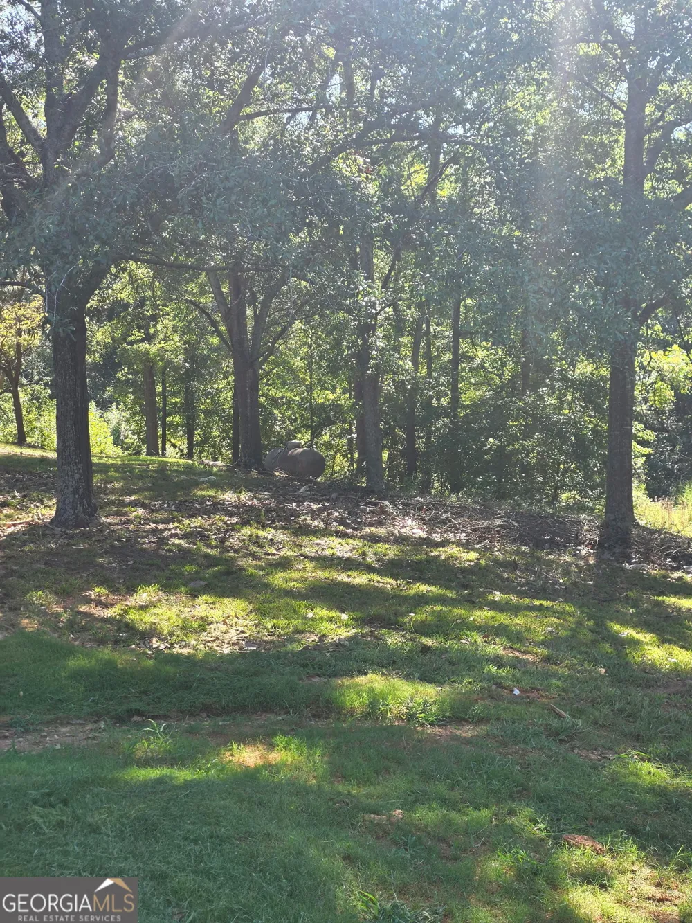 164 Charlotte DR Statham, GA 30666