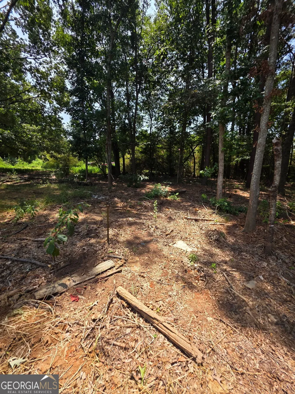 5133 C M Copelan RD Watkinsville, GA 30677