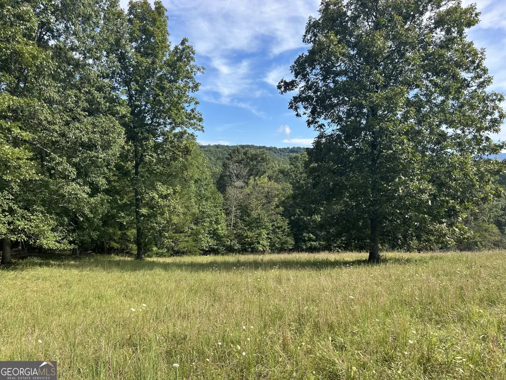 8AC Jimmy Nicholson RD Blairsville, GA 30512