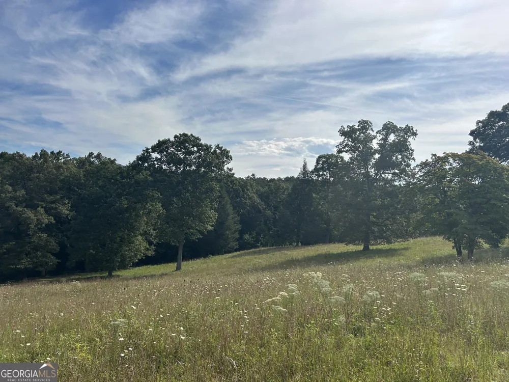 8AC Jimmy Nicholson RD Blairsville, GA 30512