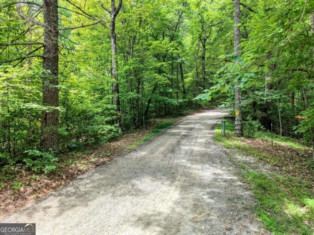 34 AC Caesar Gap RD Hiawassee, GA 30546