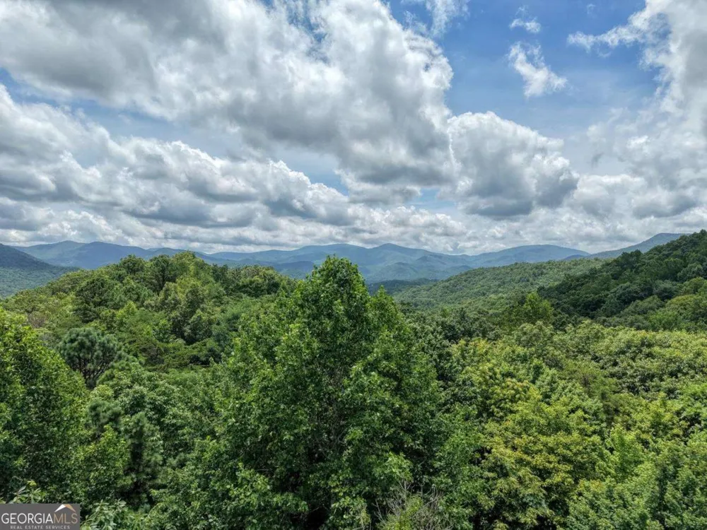 34 AC Caesar Gap RD Hiawassee, GA 30546