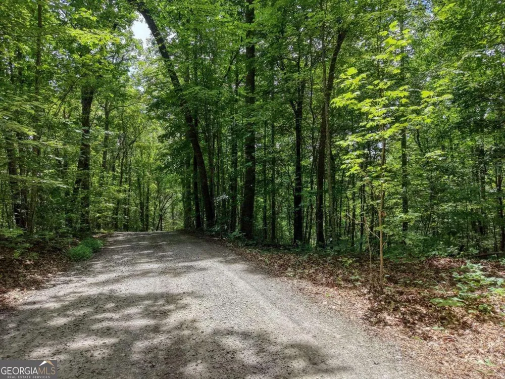34 AC Caesar Gap RD Hiawassee, GA 30546