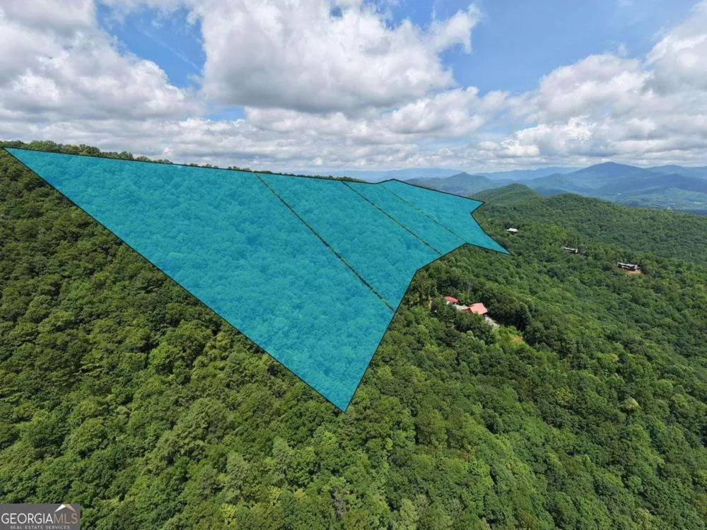 34 AC Caesar Gap RD Hiawassee, GA 30546