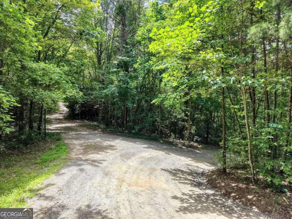 34 AC Caesar Gap RD Hiawassee, GA 30546