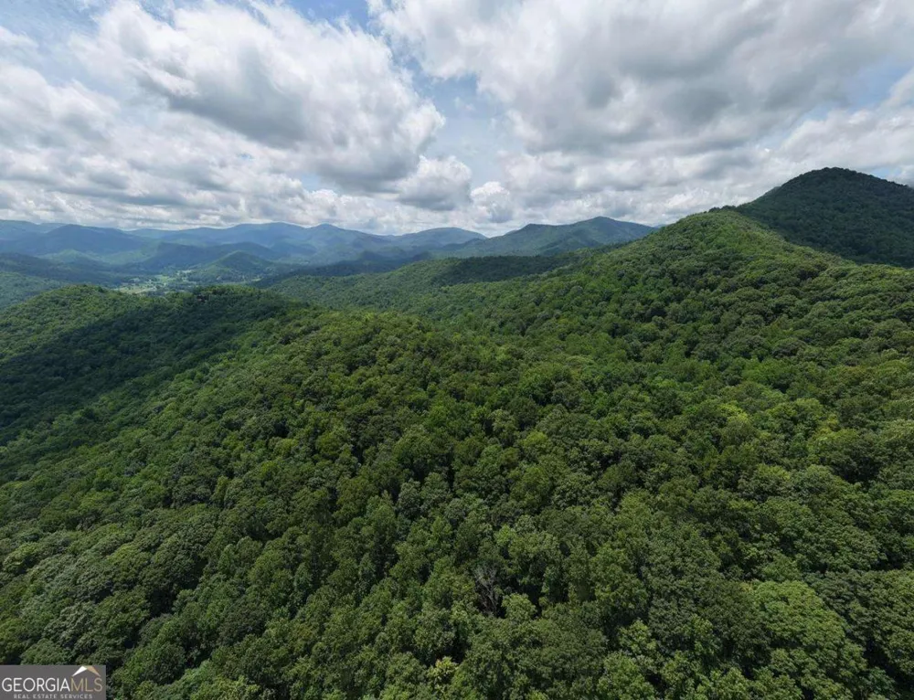 34 AC Caesar Gap RD Hiawassee, GA 30546