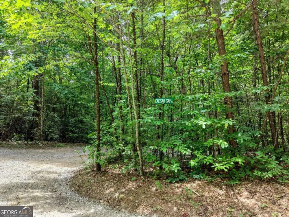 34 AC Caesar Gap RD Hiawassee, GA 30546