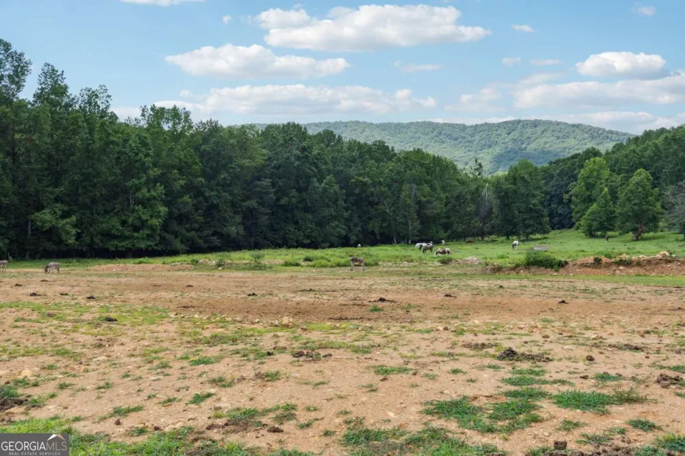 207 Canyon PASS Cleveland, GA 30528