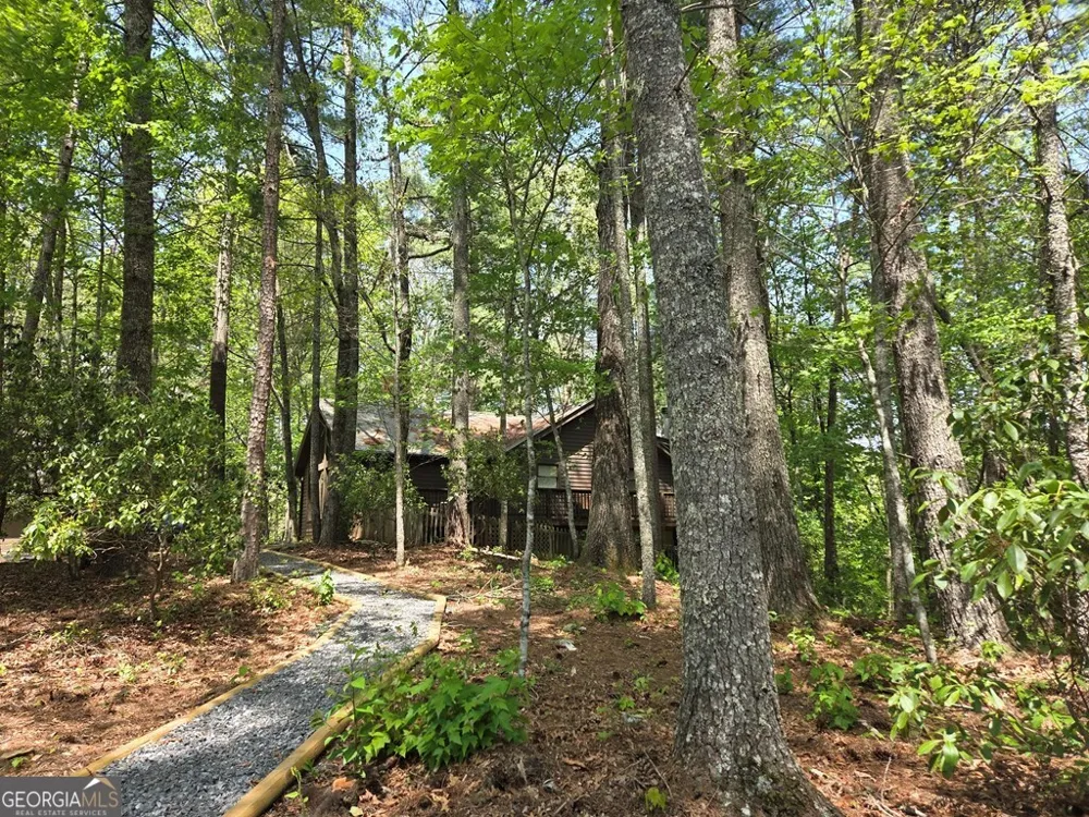 92 Misty Mountain TRL Morganton, GA 30560