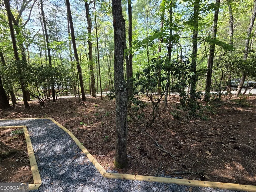 92 Misty Mountain TRL Morganton, GA 30560