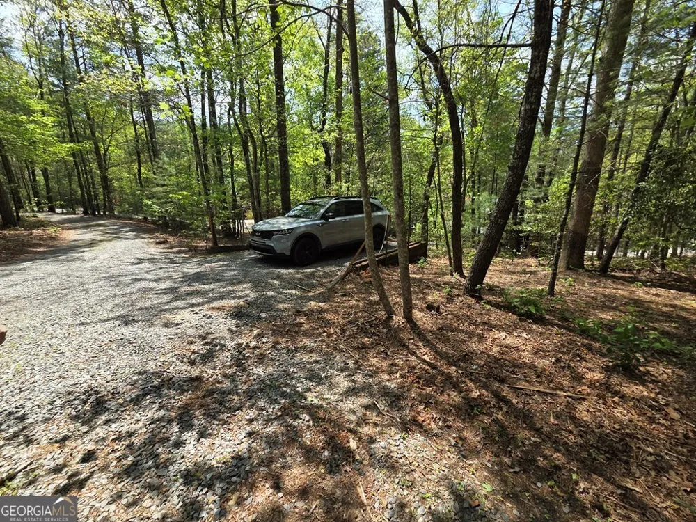 92 Misty Mountain TRL Morganton, GA 30560