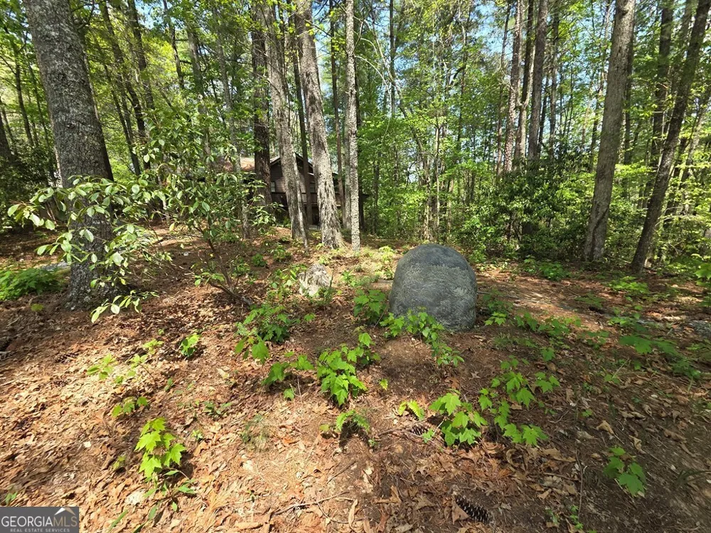 92 Misty Mountain TRL Morganton, GA 30560