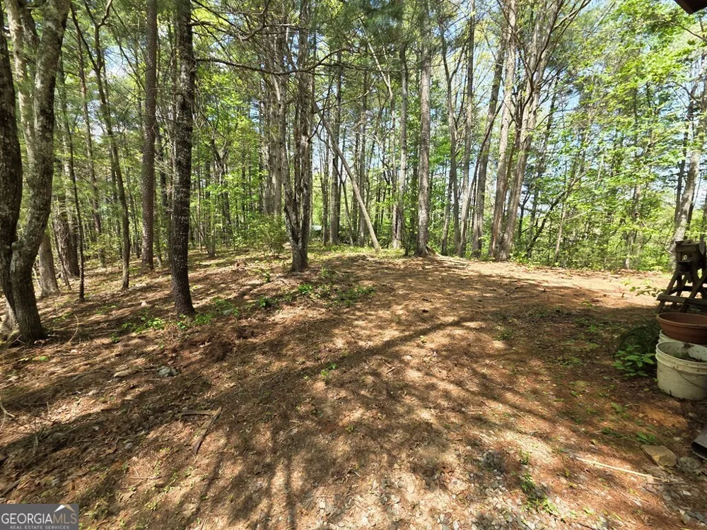 92 Misty Mountain TRL Morganton, GA 30560