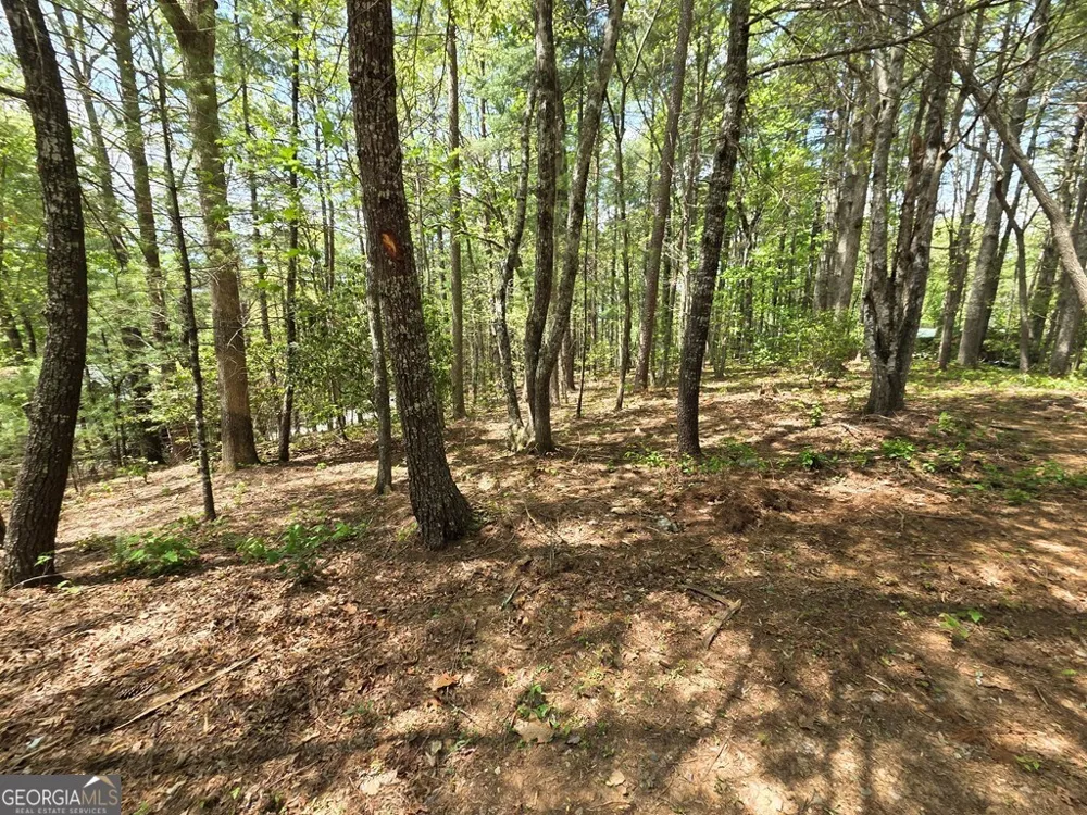 92 Misty Mountain TRL Morganton, GA 30560