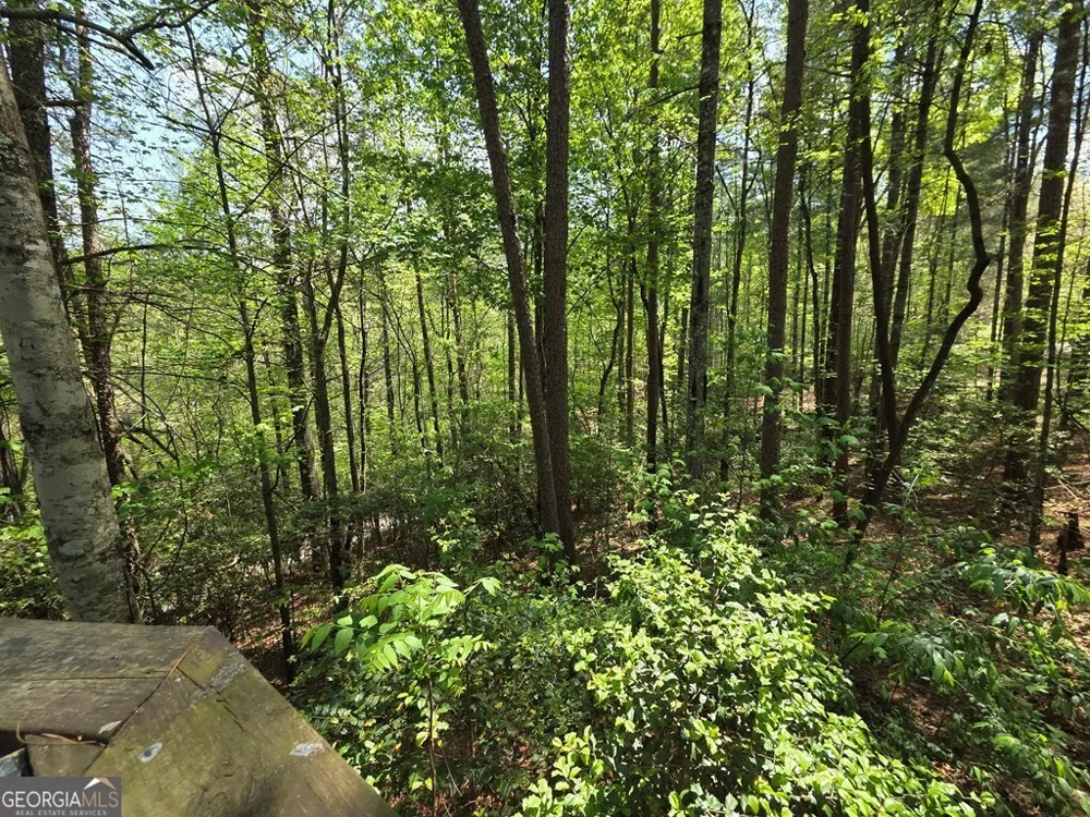 92 Misty Mountain TRL Morganton, GA 30560