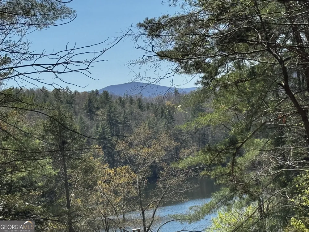 92 Misty Mountain TRL Morganton, GA 30560
