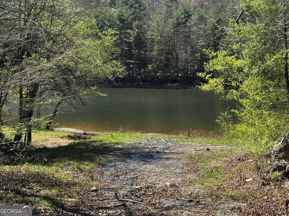 92 Misty Mountain TRL Morganton, GA 30560