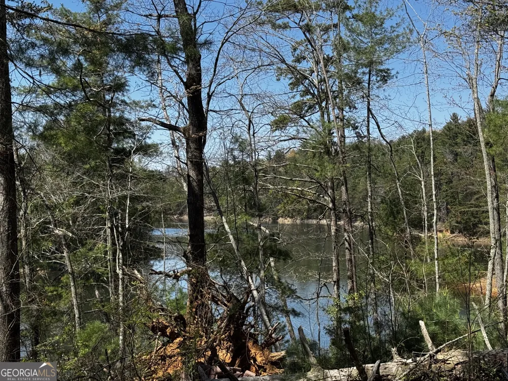 92 Misty Mountain TRL Morganton, GA 30560