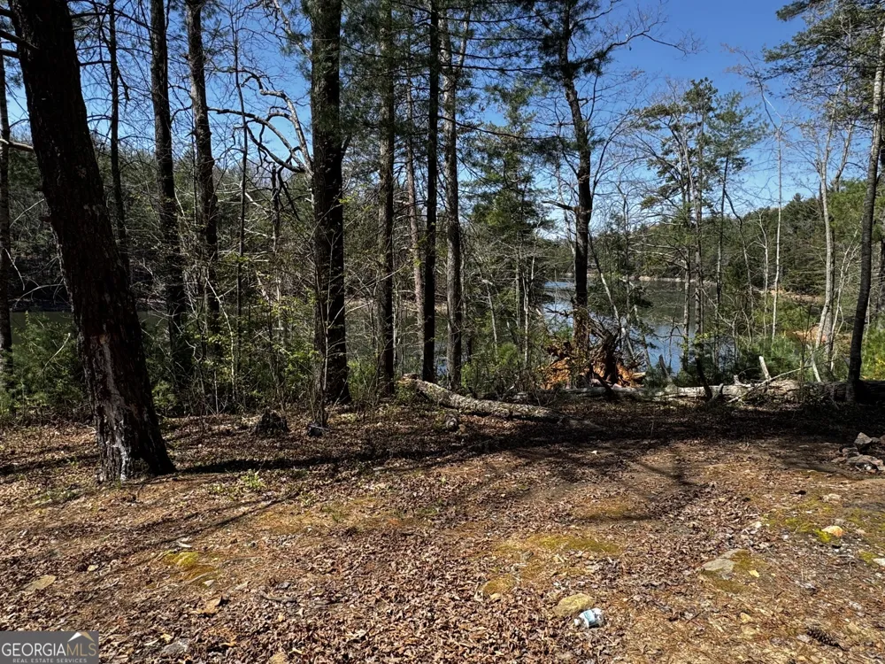 92 Misty Mountain TRL Morganton, GA 30560