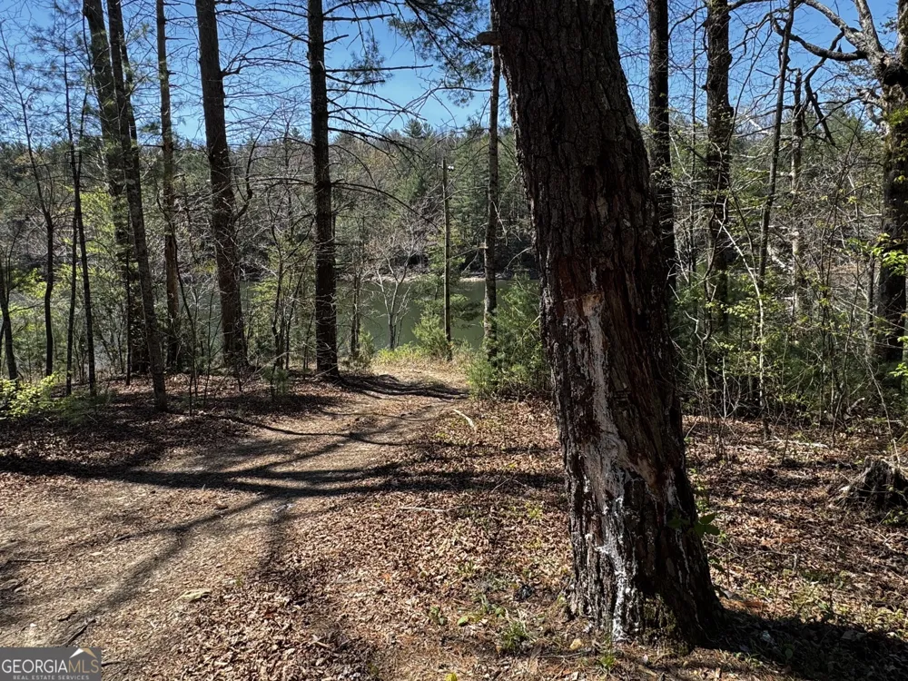 92 Misty Mountain TRL Morganton, GA 30560
