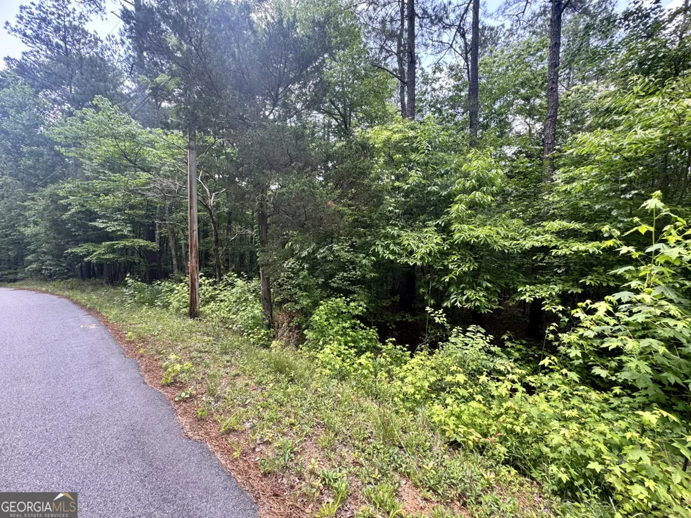 8017 Longleaf DR Villa Rica, GA 30180