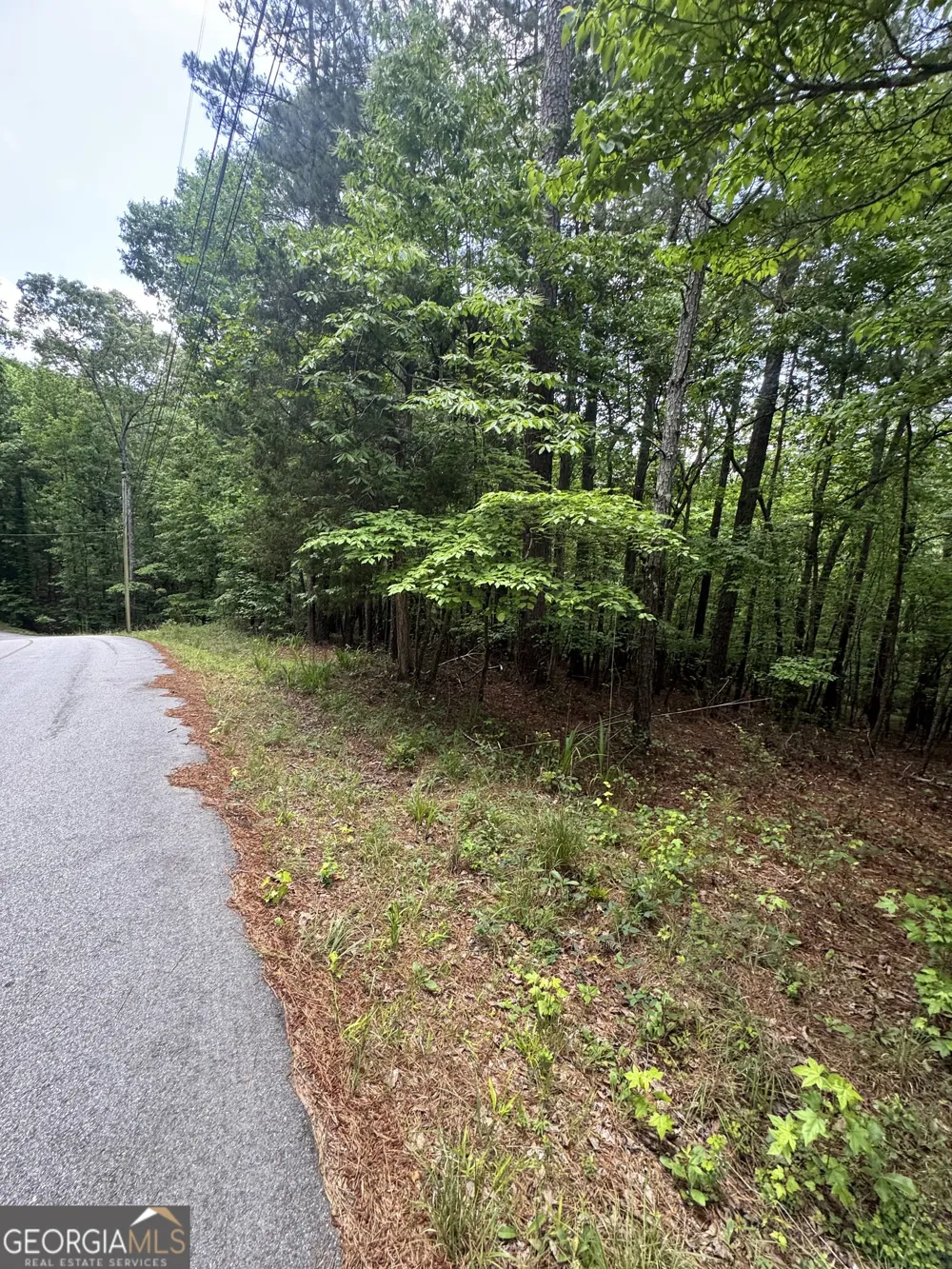 8017 Longleaf DR Villa Rica, GA 30180