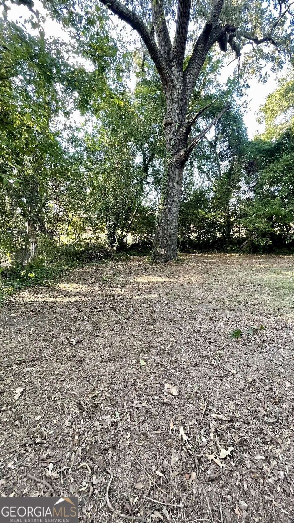611 W Moore ST Dublin, GA 31021