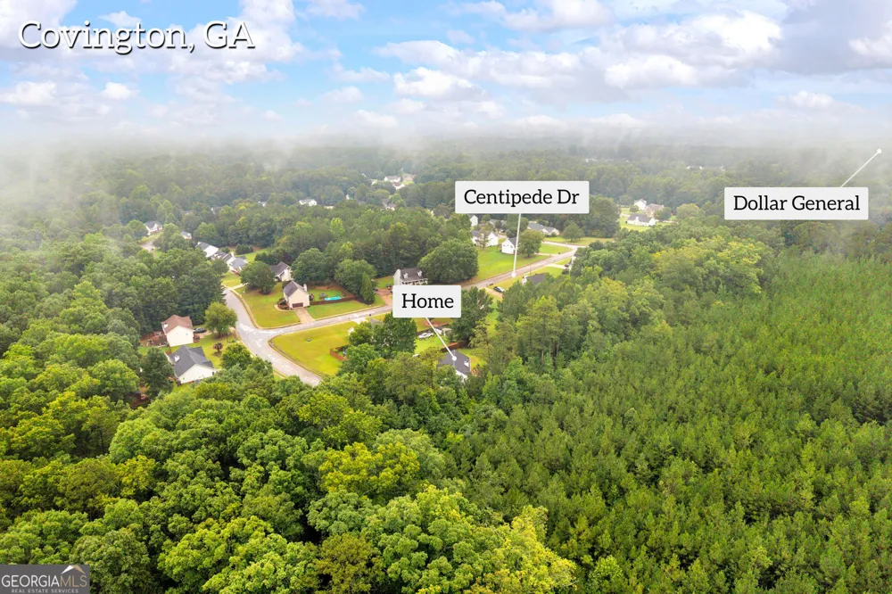 145 Clover Valley DR Covington, GA 30016