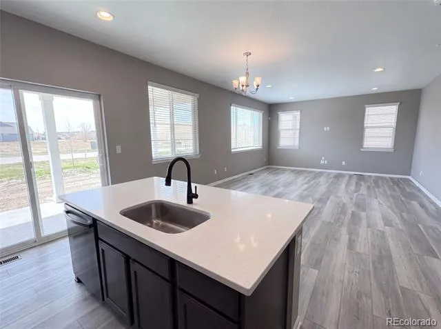 2450 Garganey Drive Castle Rock, CO 80104