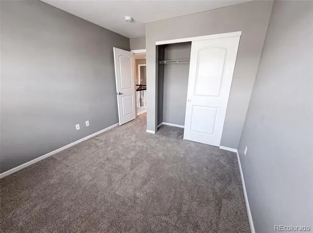 2450 Garganey Drive Castle Rock, CO 80104