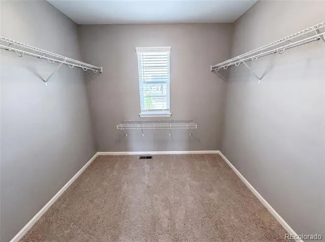 2450 Garganey Drive Castle Rock, CO 80104