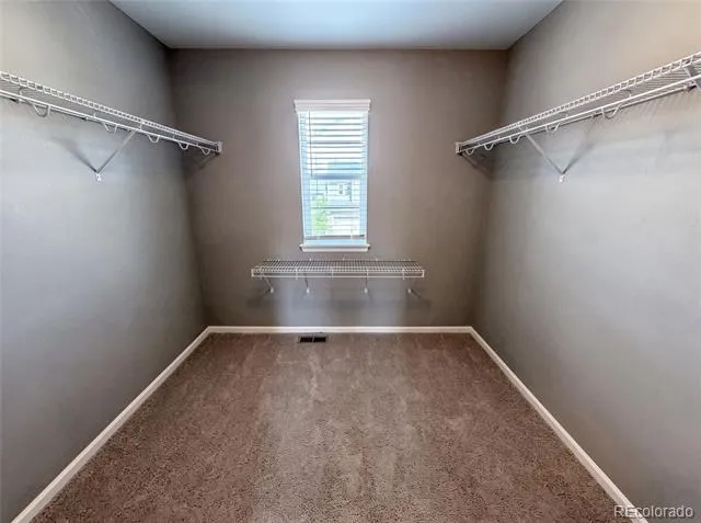 2450 Garganey Drive Castle Rock, CO 80104