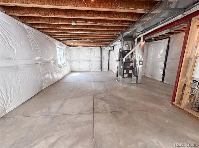 2450 Garganey Drive Castle Rock, CO 80104