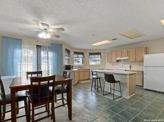 8746 Park Olympia Universal City, TX 78148