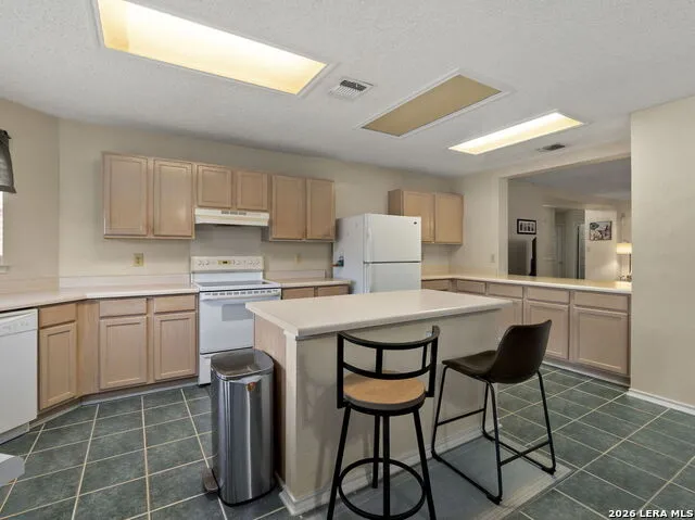 8746 Park Olympia Universal City, TX 78148