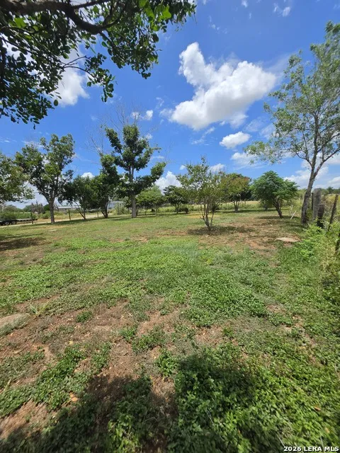 305 WALTOM AVE Jourdanton, TX 78026