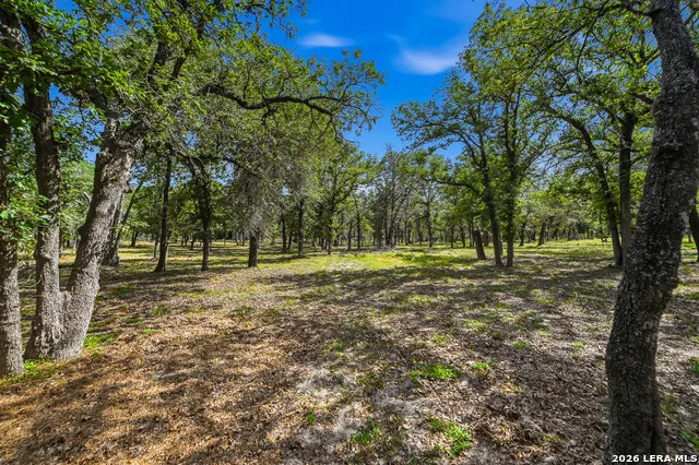 241 OAK HOLLOW DR La Vernia, TX 78121