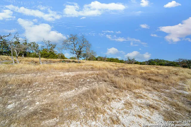 LOT 55 Oakwater Drive Fredericksburg, TX 78624