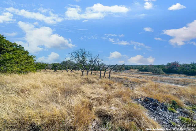 LOT 55 Oakwater Drive Fredericksburg, TX 78624
