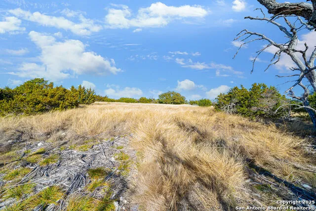 LOT 55 Oakwater Drive Fredericksburg, TX 78624