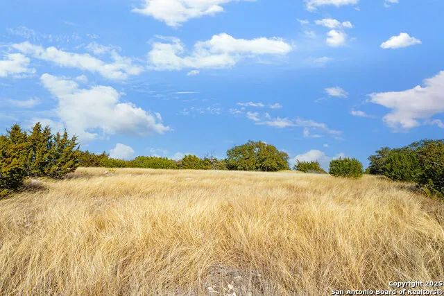 LOT 55 Oakwater Drive Fredericksburg, TX 78624